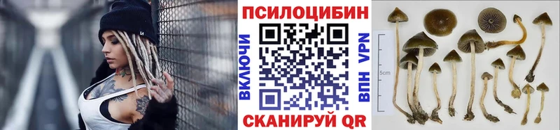 Псилоцибиновые грибы ЛСД  Ветлуга 