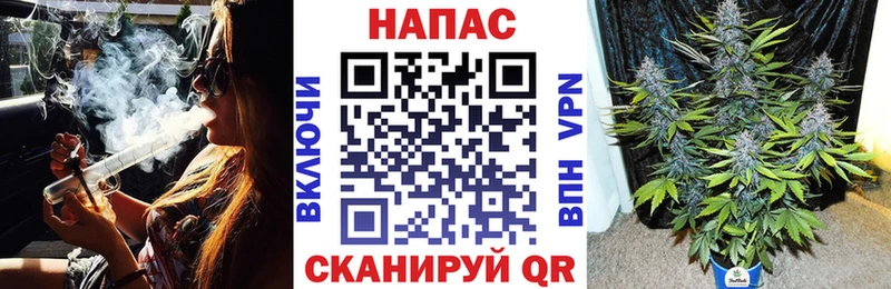 блэк спрут ONION  Ветлуга  Марихуана OG Kush 